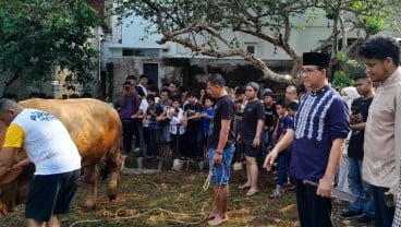 Anies Baswedan Serahkan Sapi Kurban di Jakarta, Yogyakarta, hingga Kuningan