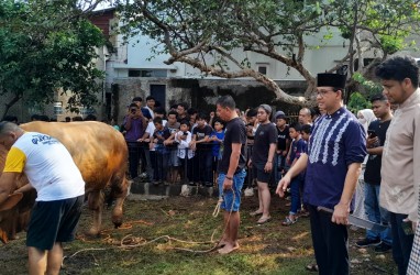 Anies Baswedan Serahkan Sapi Kurban di Jakarta, Yogyakarta, hingga Kuningan