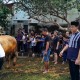 Anies Baswedan Serahkan Sapi Kurban di Jakarta, Yogyakarta, hingga Kuningan