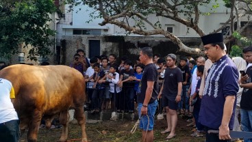 Momen Anies Baswedan Sembelih Sapi Kurban Sendiri di Lebak Bulus