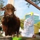 Sapi Kurban Jokowi di Semarang akan Dipotong Besok, Ini Alasannya