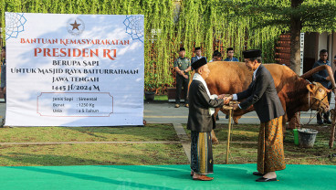 Presiden Serahkan Sapi Kurban di Masjid Baiturrahman Semarang