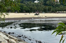 Pantai Singapura Terkena Tumpahan Minyak, Kualitas Air untuk Warga Aman?