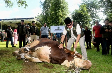 Lagi, Pj Gubernur Sumut Berkurban Seekor Limosin untuk Warga Medan