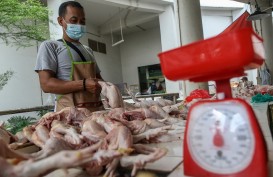 Momen Iduladha, Harga Ayam Ras di Pekanbaru Turun Menjadi Rp25.000 per Kg