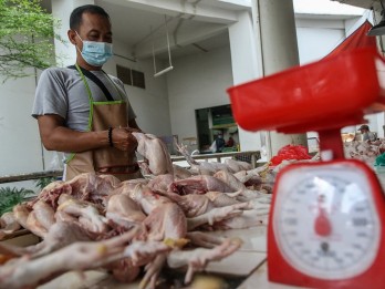 Momen Iduladha, Harga Ayam Ras di Pekanbaru Turun Menjadi Rp25.000 per Kg