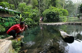 Jelajah Ekonomi Hijau: Menengok Wajah Lain Sungai Citarum