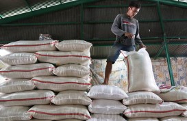 Produksi Beras RI Anjlok 440.000 Ton, Ternyata Ini Biang Keroknya