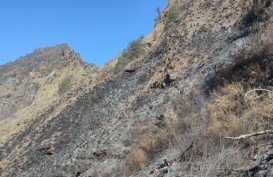 Kebakaran Lahan Gunung Rinjani, Ini Pemicunya