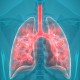 Cara Membersihkan Paru-paru yang Sudah Terpapar Asap Rokok