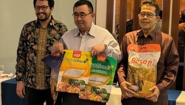 Strategi Pertanian Padi-Jagung Hadapi Perubahan Iklim