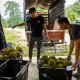 Akhirnya, Malaysia Bisa Ekspor Durian Segar ke China