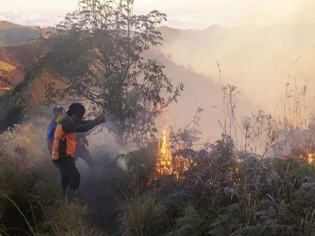 Dampak Kebakaran Taman Nasional Bromo, Begini Perkembangannya