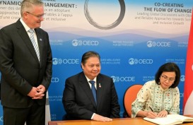 Pengusaha Minta Pemerintah Pertimbangkan Saran OECD soal Transfer Pricing