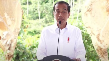 Jokowi Ungkap Faktor Pendongkrak Daya Saing Indonesia ke Posisi 27 Dunia