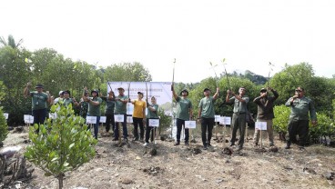 Peringati Bulan Lingkungan, Pertamina Tanam 2.000 Mangrove