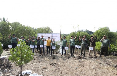 Peringati Bulan Lingkungan, Pertamina Tanam 2.000 Mangrove