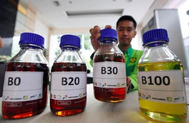 Swasembada Energi Pakai Biodiesel, RI Butuh Rp33 Triliun per Tahun