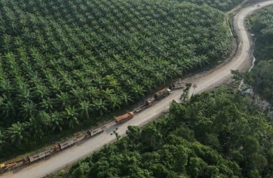 Harga Sawit Riau Pekan Ini Naik Tipis Menjadi Rp2.983,06 per Kg