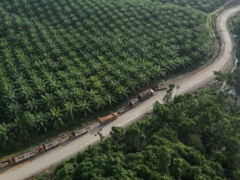 Harga Sawit Riau Pekan Ini Naik Tipis Menjadi Rp2.983,06 per Kg