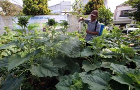 Jelajah Ekonomi Hijau: Bio Soltamax Tawarkan Solusi untuk Kemakmuran Petani