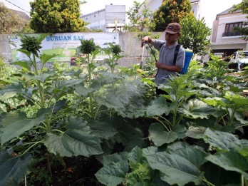Jelajah Ekonomi Hijau: Bio Soltamax Tawarkan Solusi untuk Kemakmuran Petani