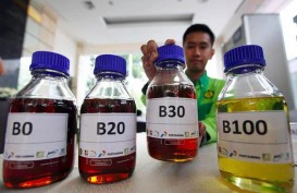 Mandatori Biodiesel B40 Ditarget Jalan di Awal Pemerintahan Prabowo