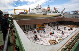 RI Target Swasembada Gula, Ini Kondisi Food Estate Tebu di Merauke