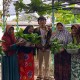 Turunkan Stres Lansia, Hydroponic Serenity Bisa Jadi Alternatif