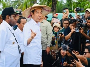Jokowi Belum Minat Tengok Perkembangan Program Food Estate, Kenapa?