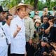 Jokowi Belum Minat Tengok Perkembangan Program Food Estate, Kenapa?