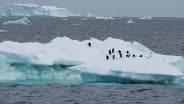 Peneliti Temukan Aliran Sungai Berumur 40 juta Tahun di Bawah Laut Antartika