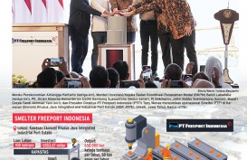 PENGHILIRAN MINERAL : Smelter Freeport Beroperasi, What's Next?