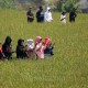 1.055 Hektare Sawah di Indramayu Beralih ke Organik