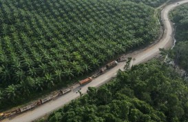 Kebun Sawit Gusur Masyarakat Adat Dayak, Gubernur Kalteng Meradang