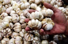 Harga Pangan Sepekan: Beras & Bawang Putih Kompak Naik, Cabai Turun