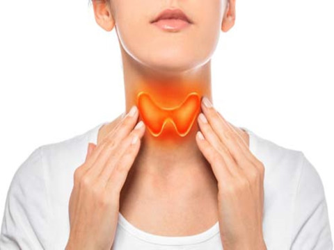 Gangguan tiroid/johnhopkinmedicine