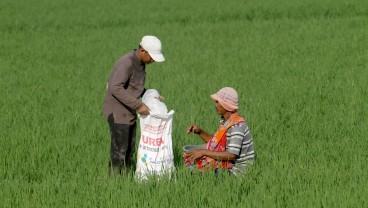 Pupuk Indonesia Ancang-ancang Antisipasi Dampak Kebijakan Antikarbon Eropa