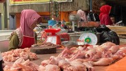 Harga Daging Ayam Turun, Riau Deflasi 0,22% Selama Juni 2024