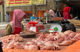 Harga Daging Ayam Turun, Riau Deflasi 0,22% Selama Juni 2024