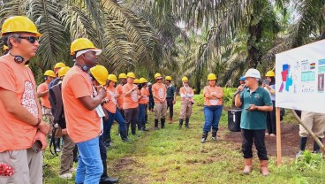 Belajar Sawit Berkelanjutan, Kemenlu Boyong 17 Negara Kunjungi Riau