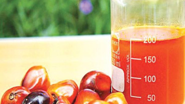 Implications of Rising Palm Oil Reference Prices