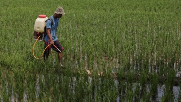 Marak Pupuk Subsidi Dijual di Atas HET, Kemendag Ungkap Biang Keroknya