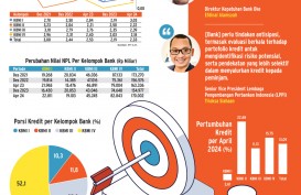 KINERJA BISNIS    : Bank Cilik yang Terjepit