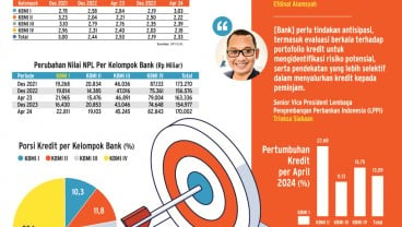 KINERJA BISNIS    : Bank Cilik yang Terjepit