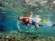 Ini Dia Deretan Lokasi Terbaik untuk Menyelam dan Snorkeling di Indonesia Timur