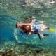 Ini Dia Deretan Lokasi Terbaik untuk Menyelam dan Snorkeling di Indonesia Timur