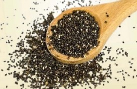 Air Chia Seed Disebut Bisa Menurunkan Berat Badan, Seberapa Efektif?