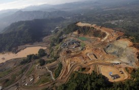 Lokasi Eks Tambang di Kaltim Diarahkan untuk Pengembangan Lahan Pangan