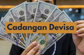 Cadangan Devisa RI Naik Jadi US$140,2 Miliar per Juni 2024